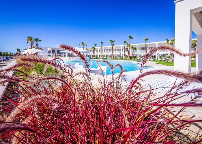 Marelive - Cdshotels